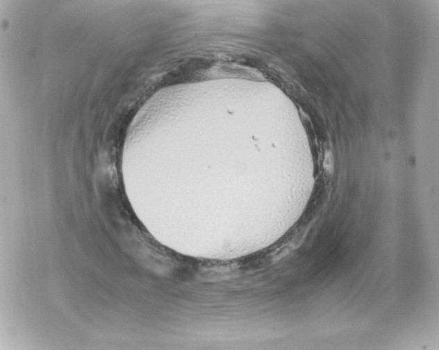 X0000070390771200607072218