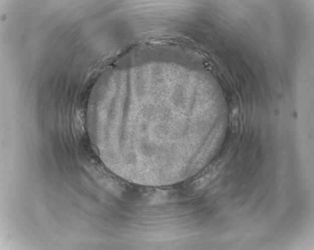 X0000070390772200607072218