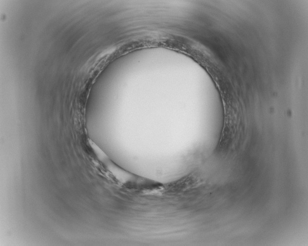 X0000070390773200607072218