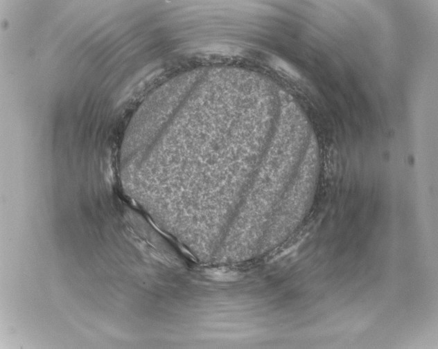 X0000070390774200607072218