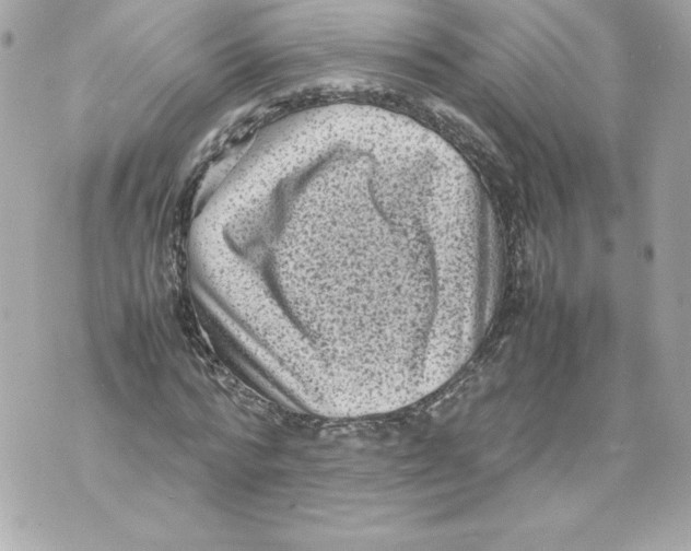 X0000070390776200607072218