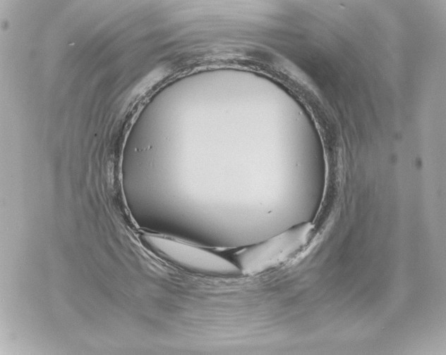 X0000070390777200607072218