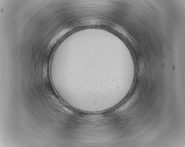 X0000070390778200607072218