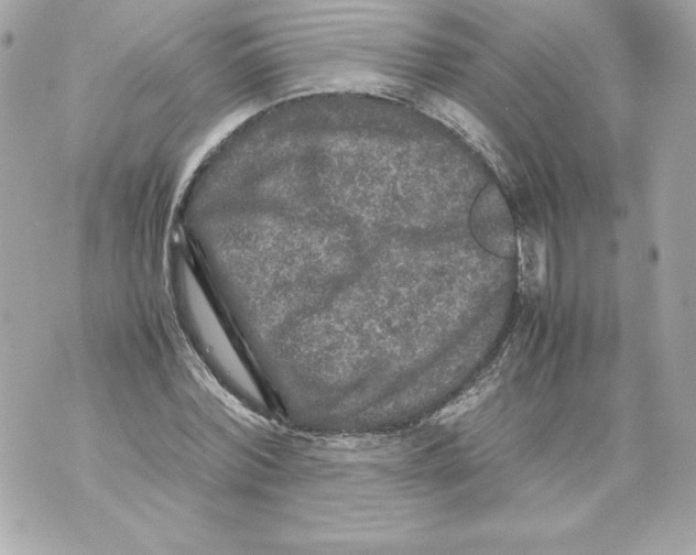 X0000070390780200607072218