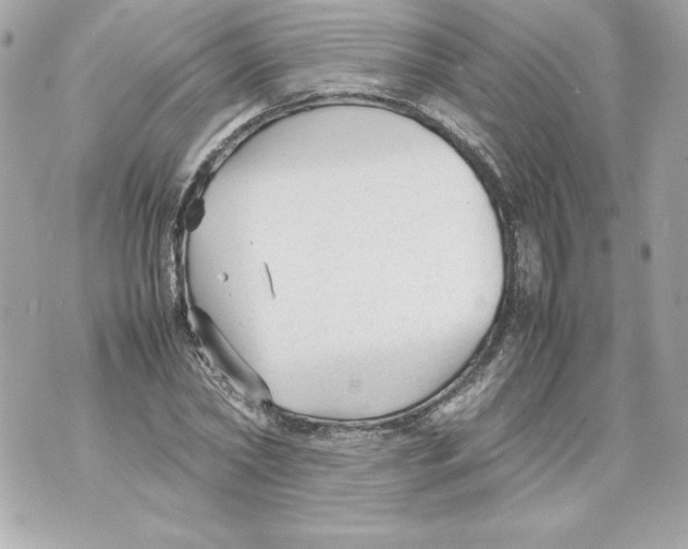 X0000070390782200607072218