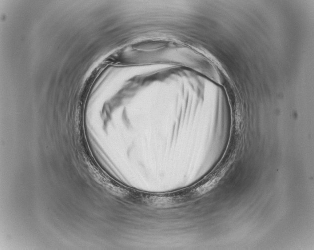 X0000070390783200607072218