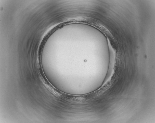 X0000070390784200607072218