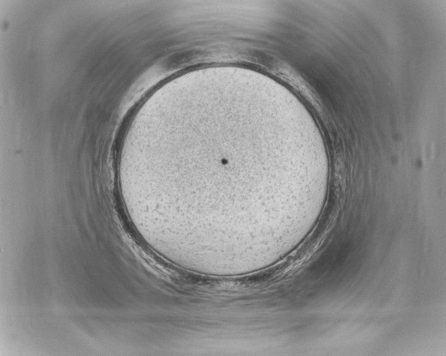 X0000070390787200607072218