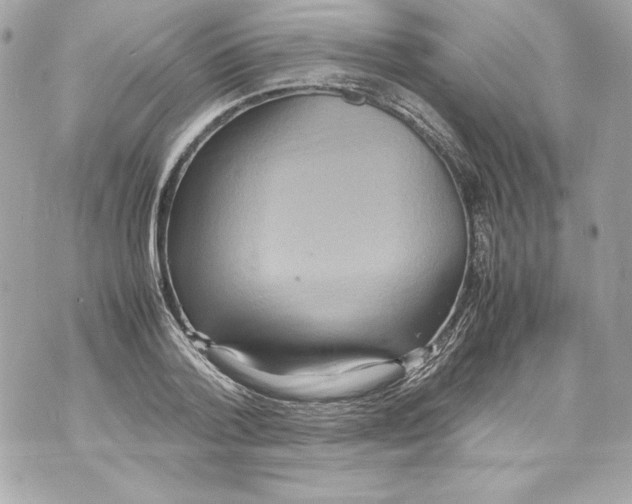 X0000070390788200607072218