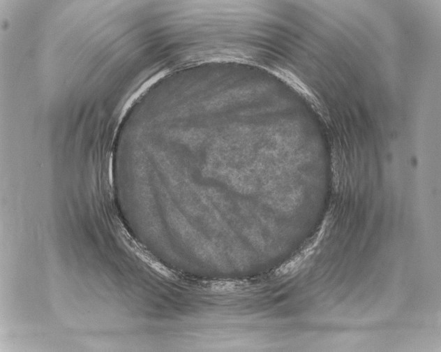 X0000070390790200607072218