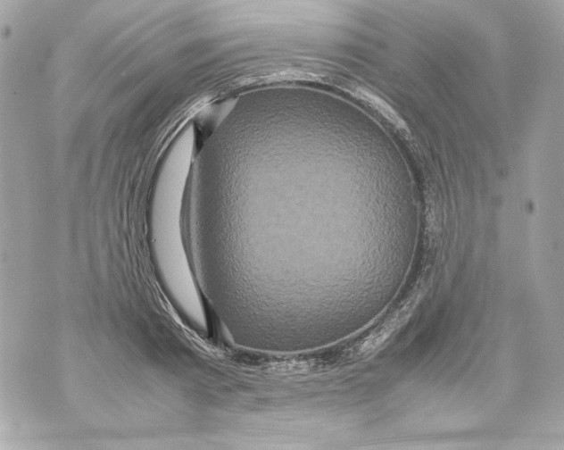 X0000070390793200607072218