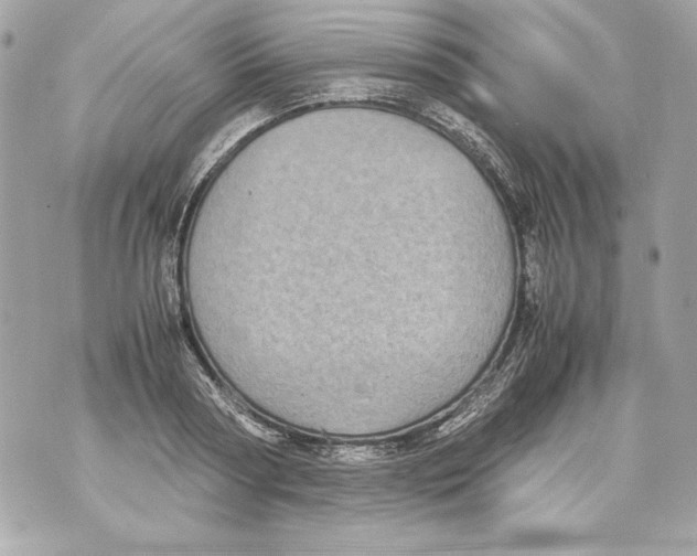 X0000070390794200607072218