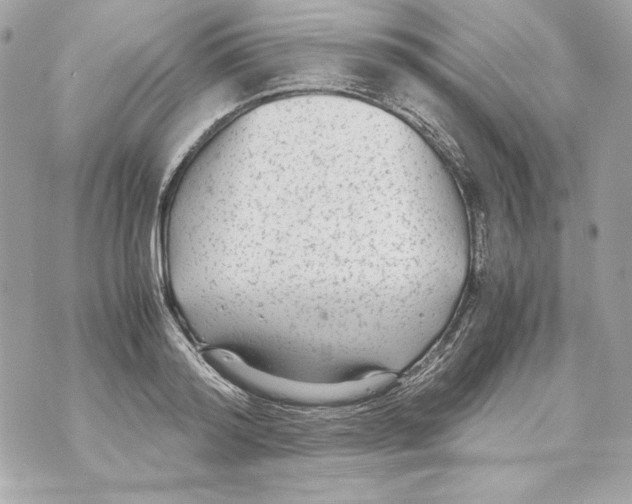 X0000070390796200607072218