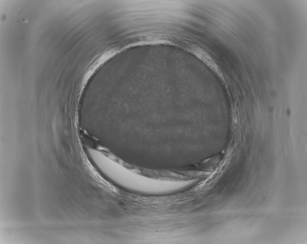 X0000070390797200607072218