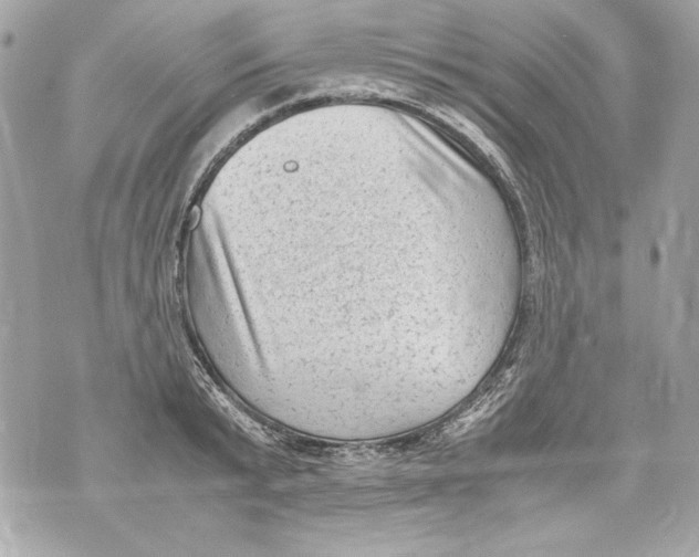 X0000070390799200607072218