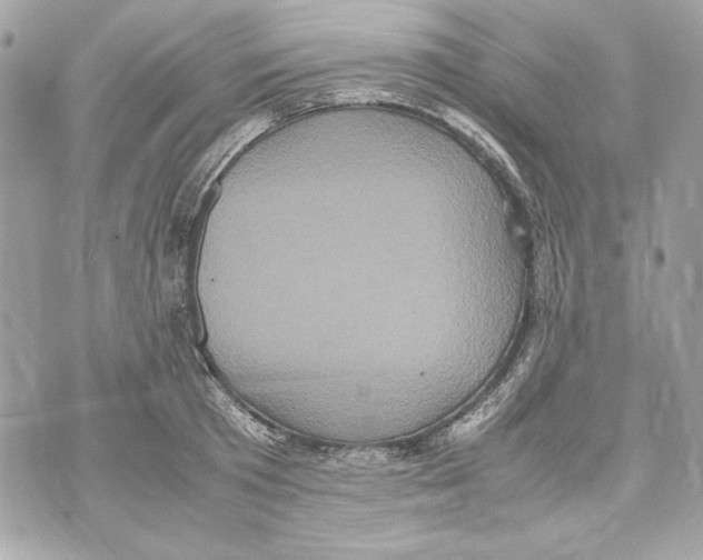 X0000070390801200607072218