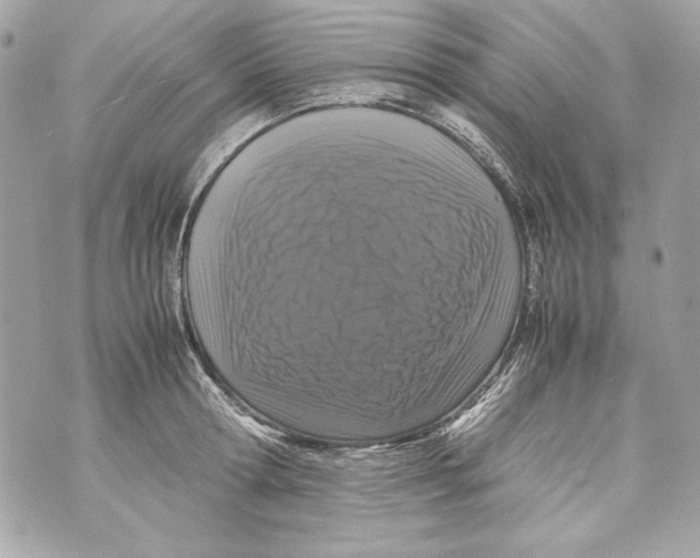 X0000070390802200607072218