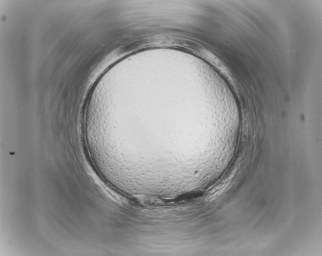 X0000070390803200607072218