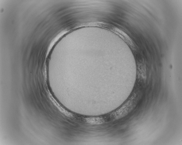 X0000070390804200607072218