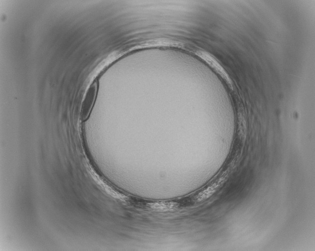 X0000070390805200607072218