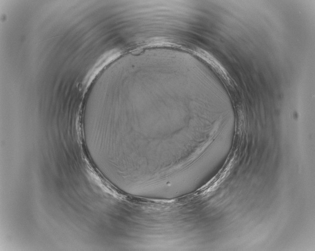 X0000070390806200607072218