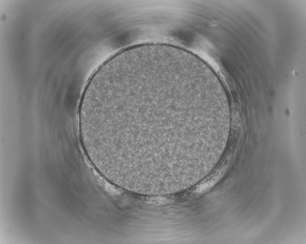 X0000070390807200607072218