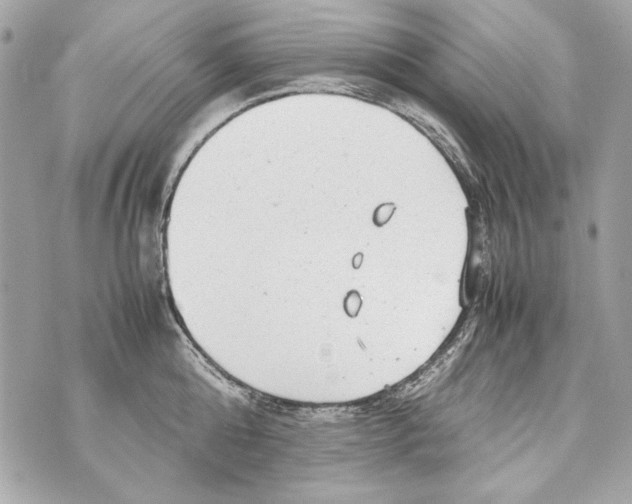 X0000070390808200607072218