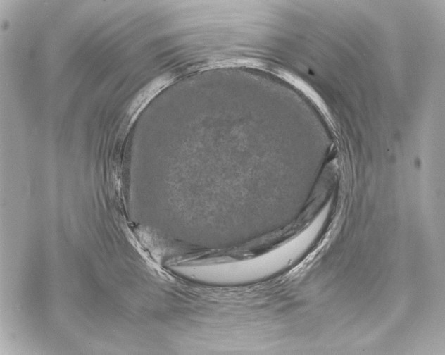 X0000070390809200607072217