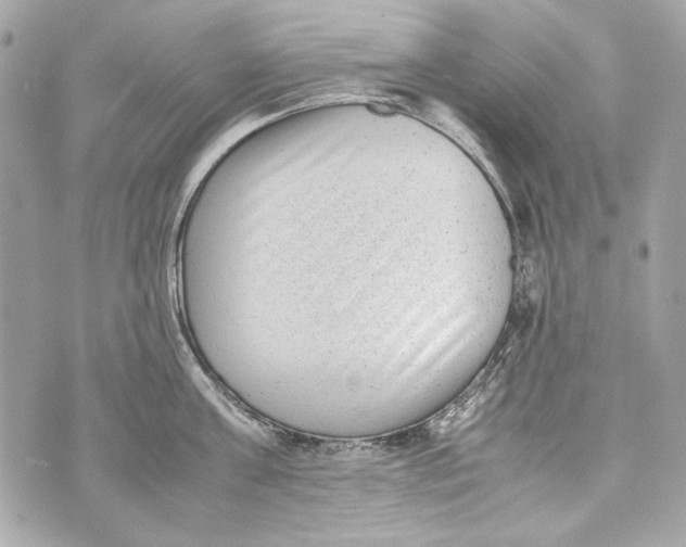 X0000070390811200607072217