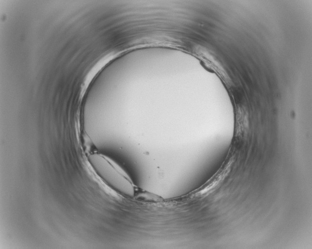 X0000070390812200607072217