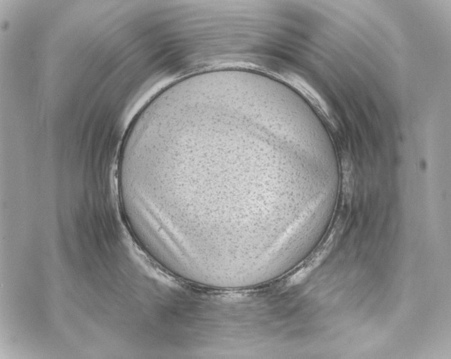 X0000070390814200607072217