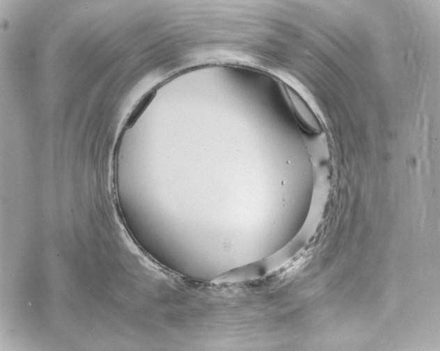 X0000070390815200607072217