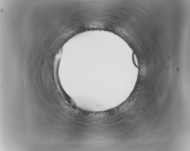 X0000070390817200607072217