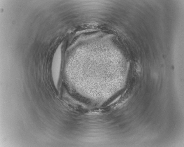 X0000070390818200607072217