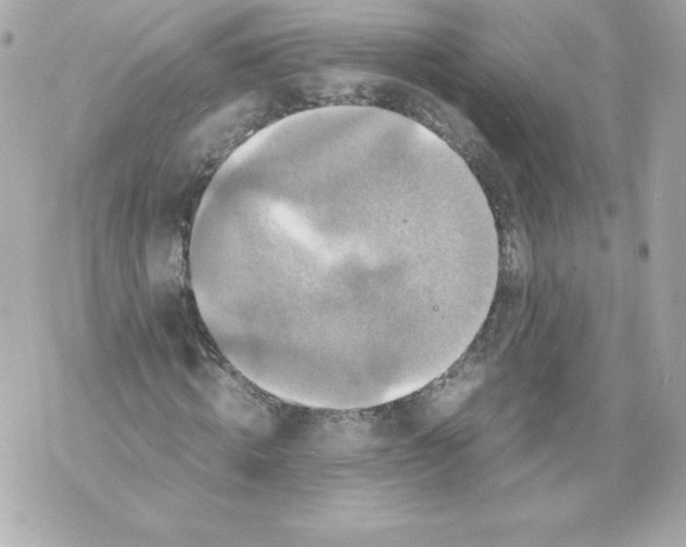 X0000070390820200607072217