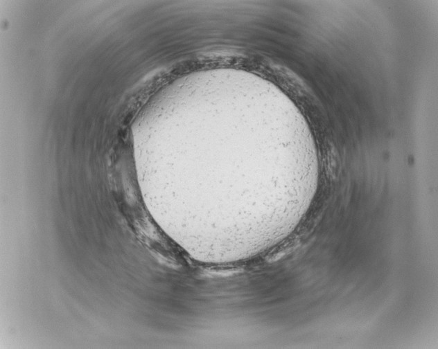 X0000070390821200607072217