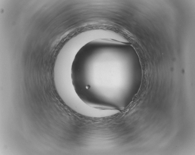 X0000070390822200607072217