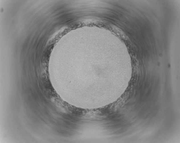 X0000070390824200607072217