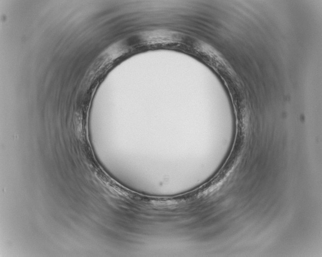 X0000070390825200607072217