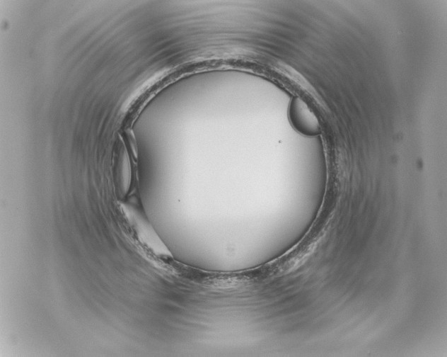 X0000070390826200607072217