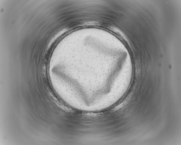 X0000070390827200607072217