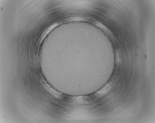 X0000070390828200607072217