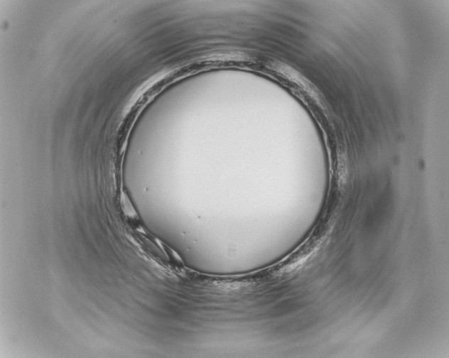 X0000070390829200607072217