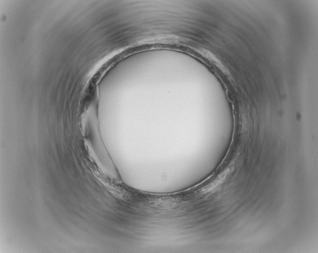 X0000070390830200607072217