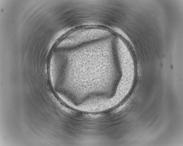 X0000070390831200607072217