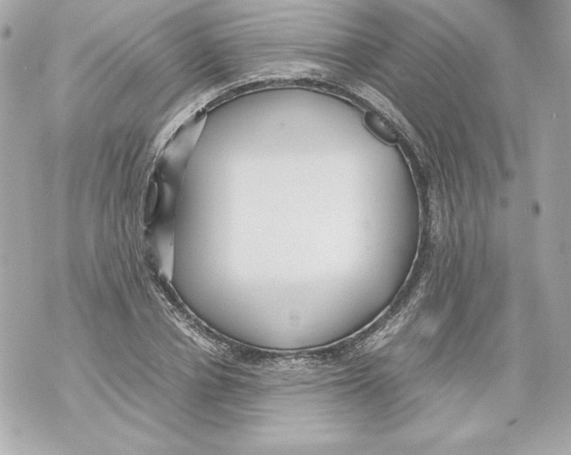 X0000070390834200607072217