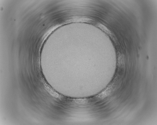 X0000070390836200607072217