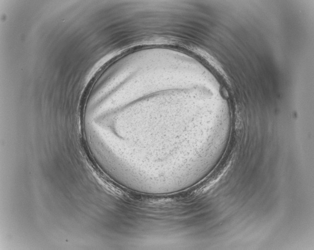 X0000070390837200607072217