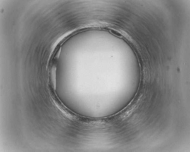 X0000070390838200607072217