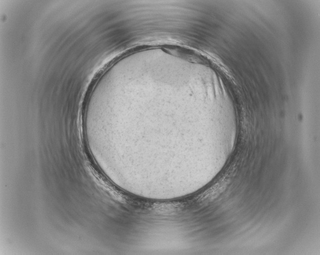 X0000070390840200607072217